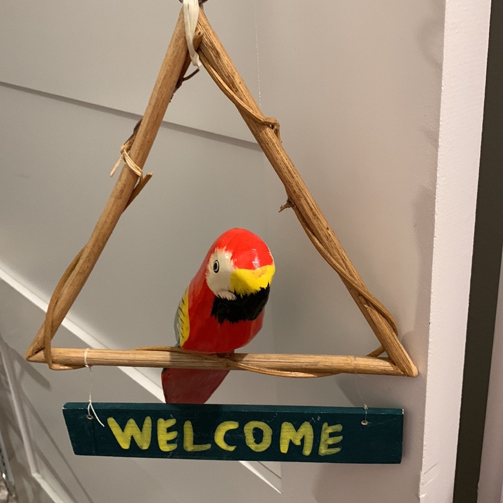 Parrots 🦜 - Picture 10 of 11